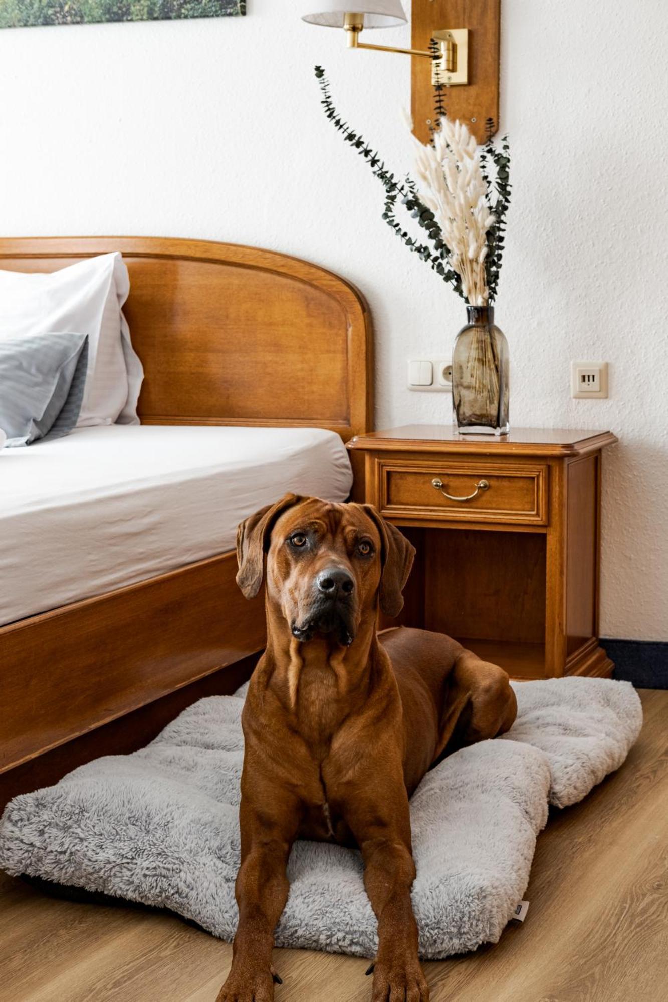 Hotel Goldener Hirsch Kaufbeuren Zewnętrze zdjęcie